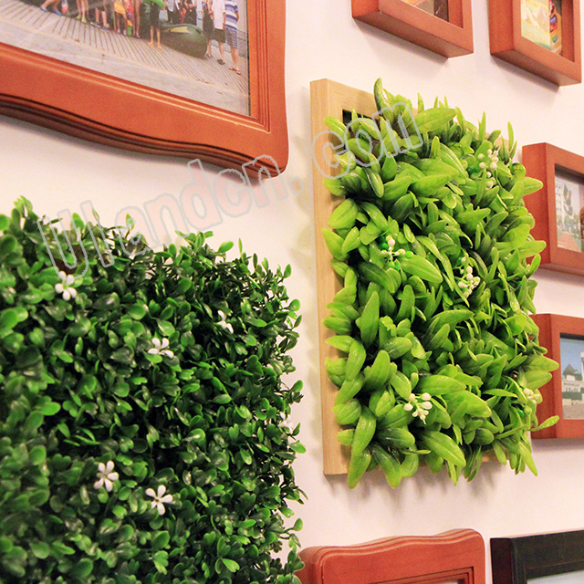 (yu)mUlandcnֲң