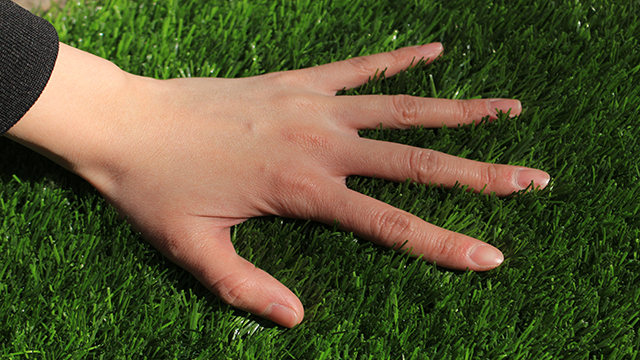 (yu)mUlandcnֲ