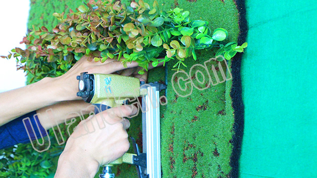 (yu)mUlandֲ(zhun)