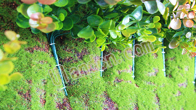 (yu)mUlandֲ(zhun)