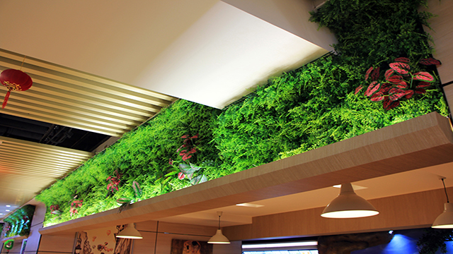 (yu)mUlandcnֲ