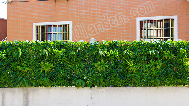 (yu)mUlandֲ(zhun)