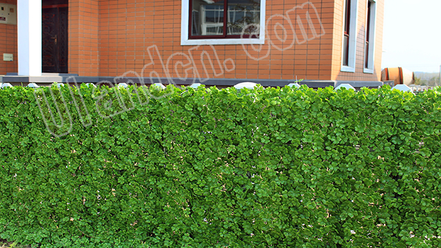 (yu)mUlandcnֲ