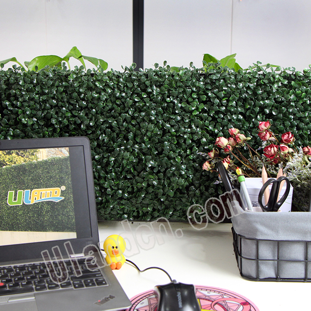 (yu)mUlandcn,ֲ(zhun)