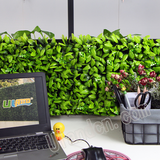 (yu)mUlandcn,ֲ(zhun)