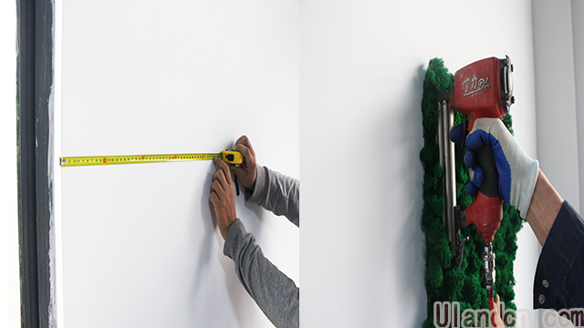 永生苔蘚品牌-優(yōu)蘭德