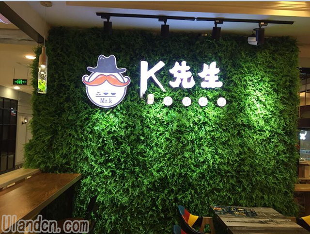 仿真植物墻品牌-優(yōu)蘭德