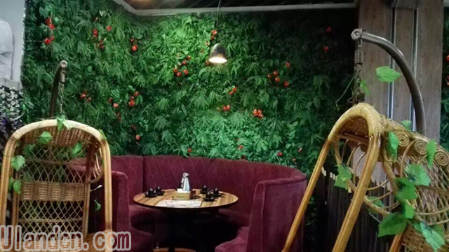 餐飲行業(yè)使用的仿真植物墻
