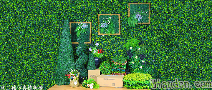 仿真植物墻品牌-優(yōu)蘭德
