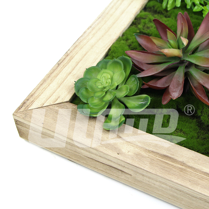 人造多肉苔蘚相框