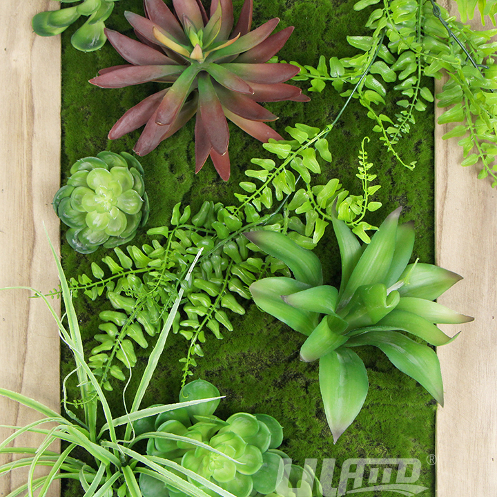 人造多肉苔蘚相框
