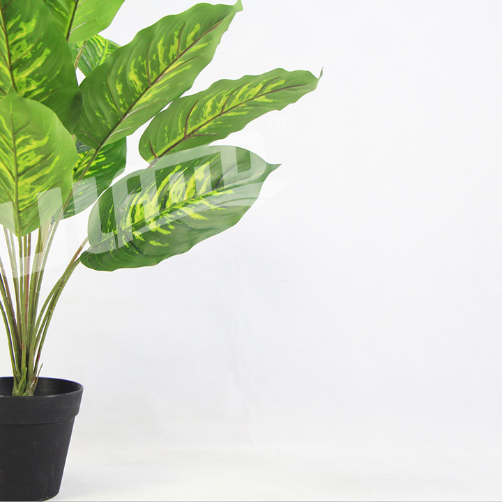 仿真黃心細(xì)綠蘿