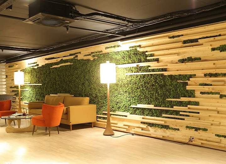 室內(nèi)苔蘚植物景觀墻