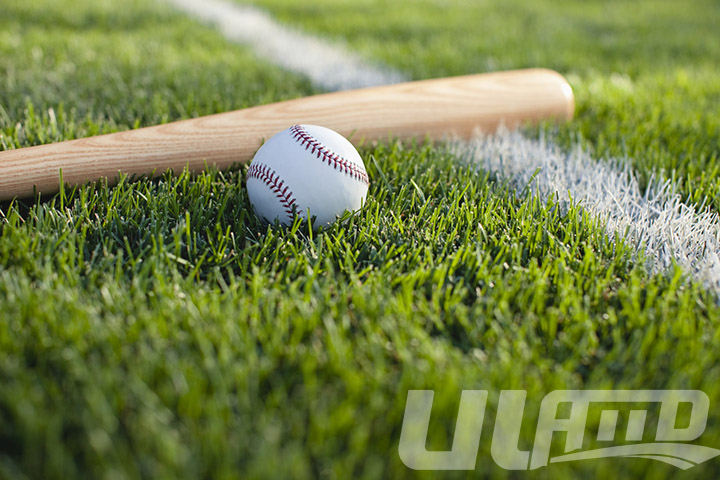 ����������ƺ