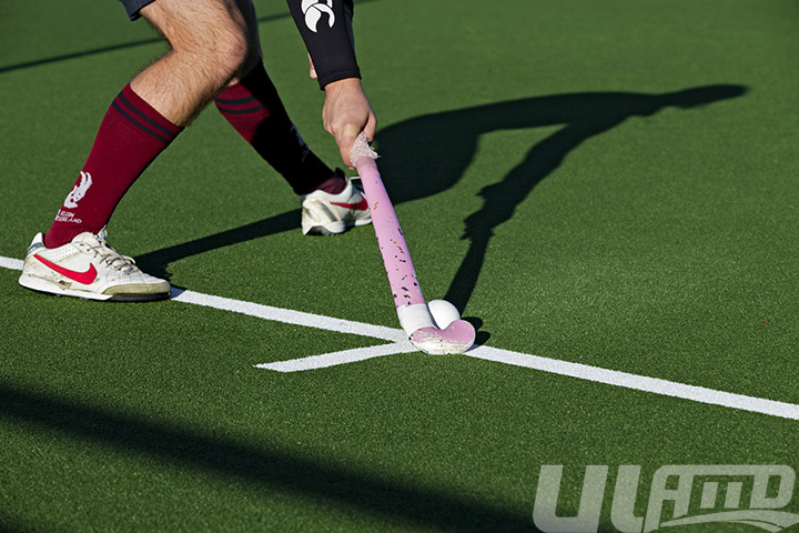 ������������ƺ