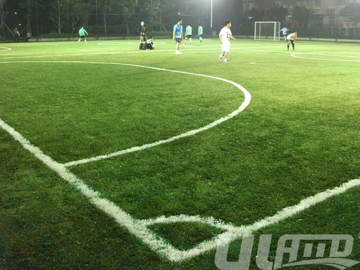 ��������������ƺ