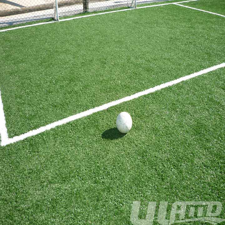 �����(ch��ng)�����ƺ