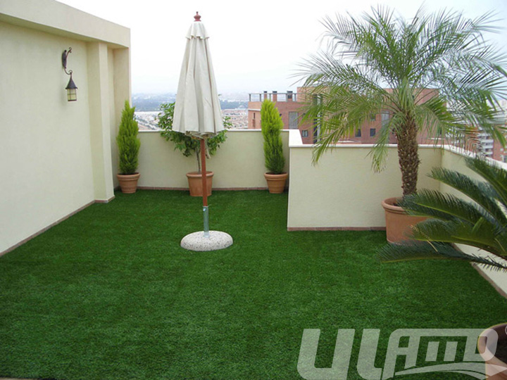 ��_�h(hu��n)�������ƺ