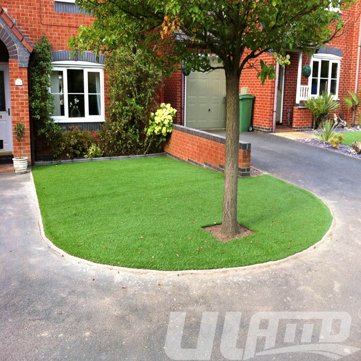 �������ֲ��ƺ