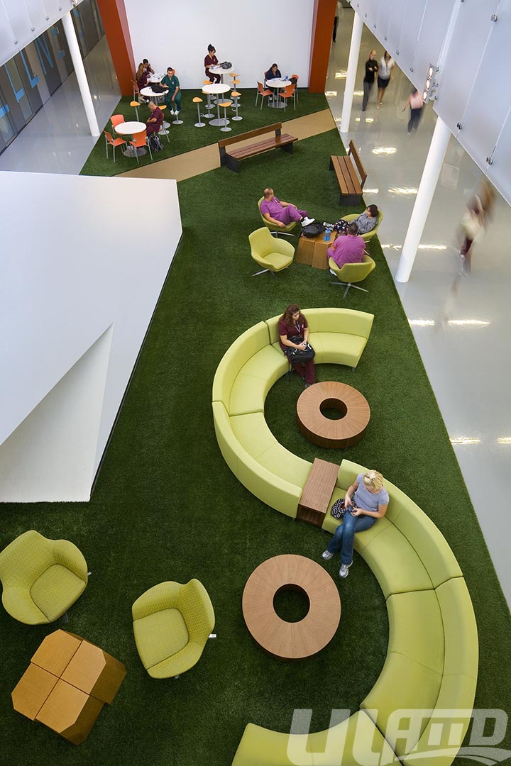 �҃�(n��i)�����ƺ-�̈�