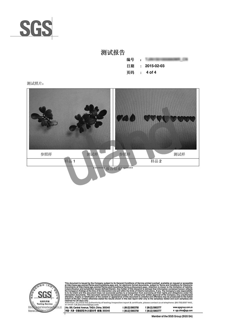 ϻԇ(yn)-ݗ䱩¶y(c)ԇ