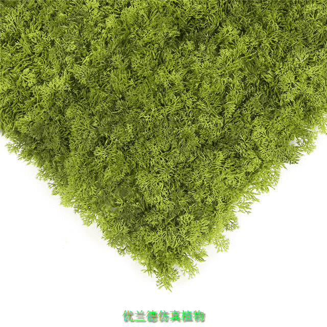 片狀仿真植物A123細(xì)節(jié)圖