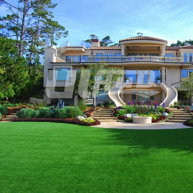 ��������ƺ